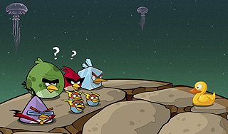   Angry birds  