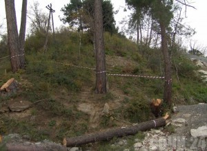 На территории памятника природы «Мыс Видный» хотят построить коттеджи На территории памятника природы «Мыс Видный» построят коттеджи. Фото: bereg23.ru