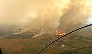 Жара спалила нижегородскую деревню