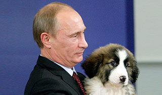 Путину подарили болгарского щенка