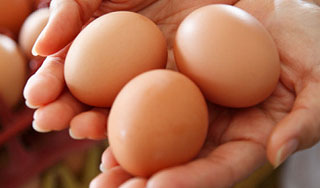Словакия запретила продажу яиц из Германии