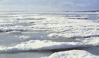 У побережья Одессы замерзло Черное море
