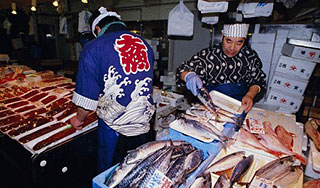 Японцы отказываются от рыбы из-за радиации