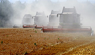 Россия сняла запрет на экспорт зерна