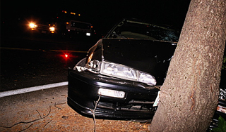 В Латвии водитель сбил девять деревьев