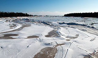 На Финском заливе нашли вмерзшую лыжницу