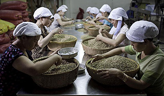 Вьетнамский кофе стал самым популярным
