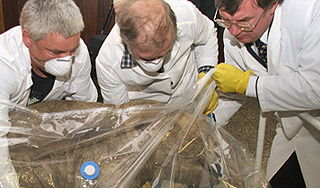 В Якутии нашли "живые" клетки мамонта