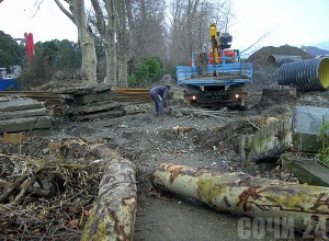 Уничтожение столетних платанов возле парка "Южные культуры" в Сочи. Фото с сайта sch.su
