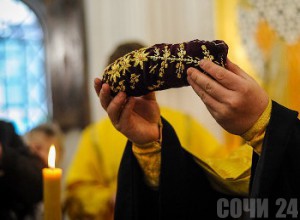 Башмачок Святителя Спиридона. Фото:www.yuga.ru