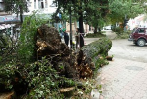 Последствия штормового ветра 25 сентября. Фото: www.yugopolis.ru
