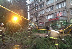 Упавшее дерево на улице Роз. Фото мэрии Сочи